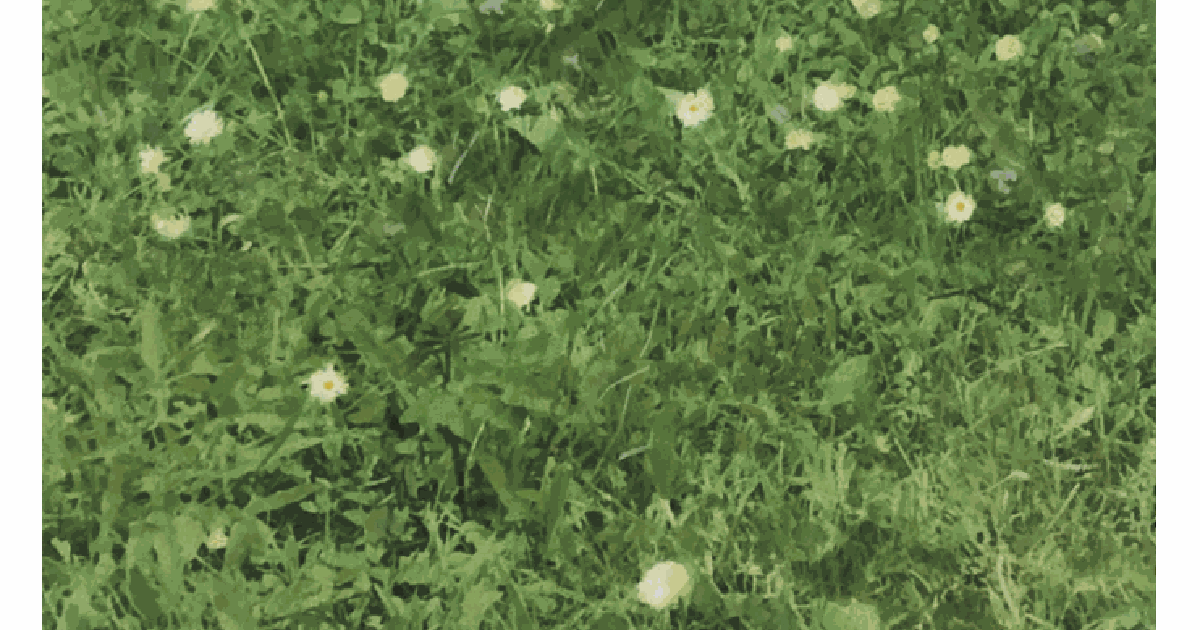 PRESS Galerie Documents 15